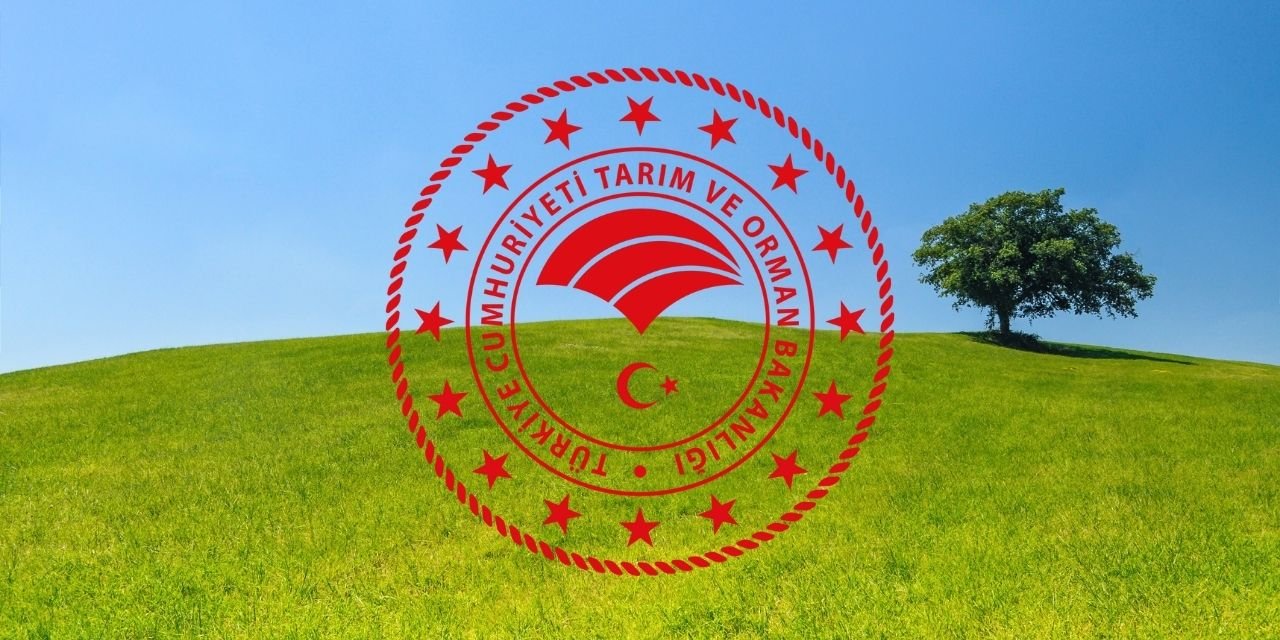 Doğa Koruma ve Milli Parklar 240 Sözleşmeli Personel Alımı! Başvuru Süreci ve Detaylar